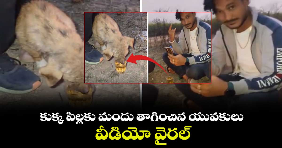 కుక్క పిల్లకు మందు తాగించిన యువకులు.. వీడియో వైరల్