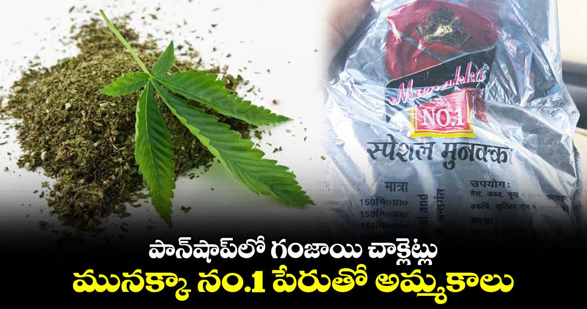 పాన్షాప్లో గంజాయి చాక్లెట్లు.. మునక్కా నం.1 పేరుతో అమ్మకాలు