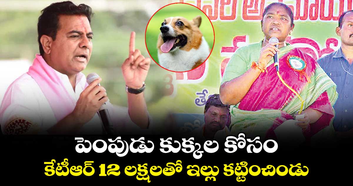 పెంపుడు కుక్కల కోసం.. కేటీఆర్ 12 లక్షలతో ఇల్లు కట్టించిండు: మంత్రి సీతక్క