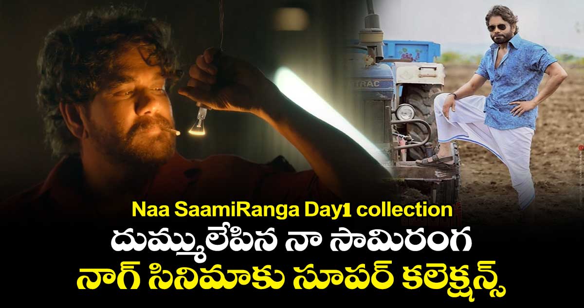 Naa SaamiRanga Day1 collections: దుమ్ములేపిన నా సామిరంగ.. నాగ్ సినిమాకు సూపర్ కలెక్షన్స్