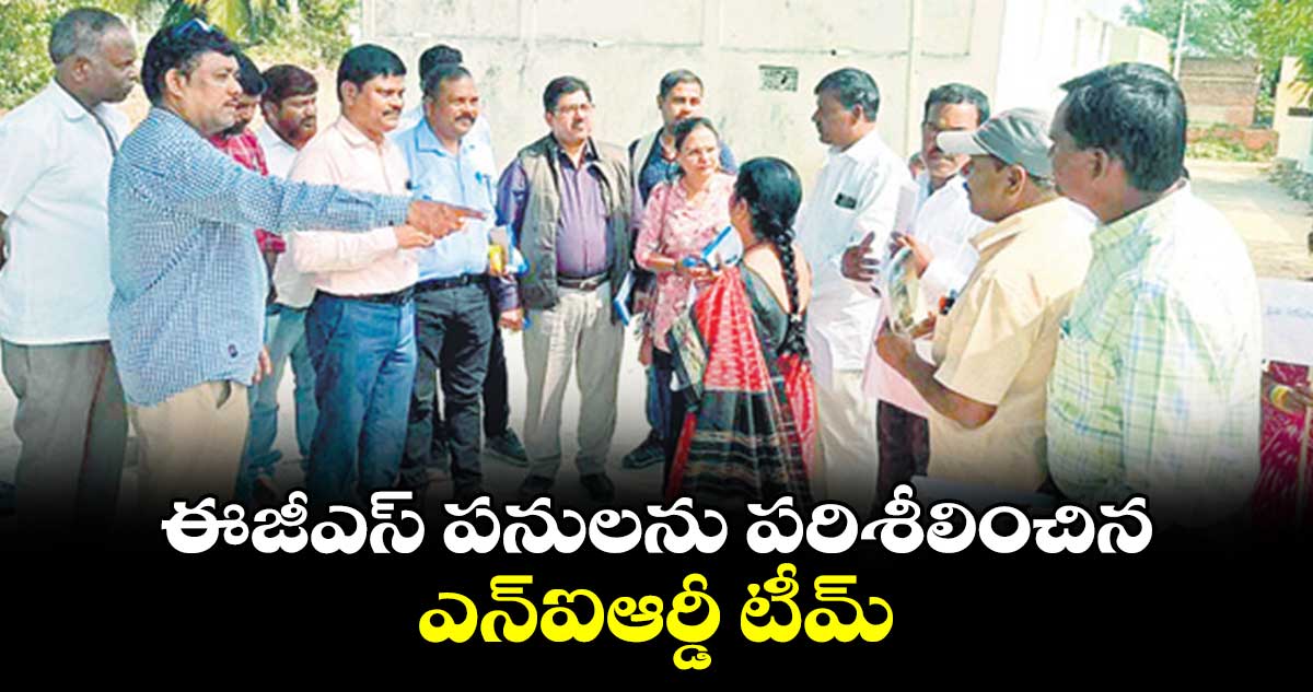 ఈజీఎస్​ పనులను పరిశీలించిన ఎన్ఐఆర్డీ టీమ్