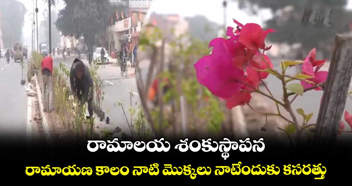 రామాలయ శంకుస్థాపన : రామాయణ కాలం నాటి మొక్కలు నాటేందుకు కసరత్తు