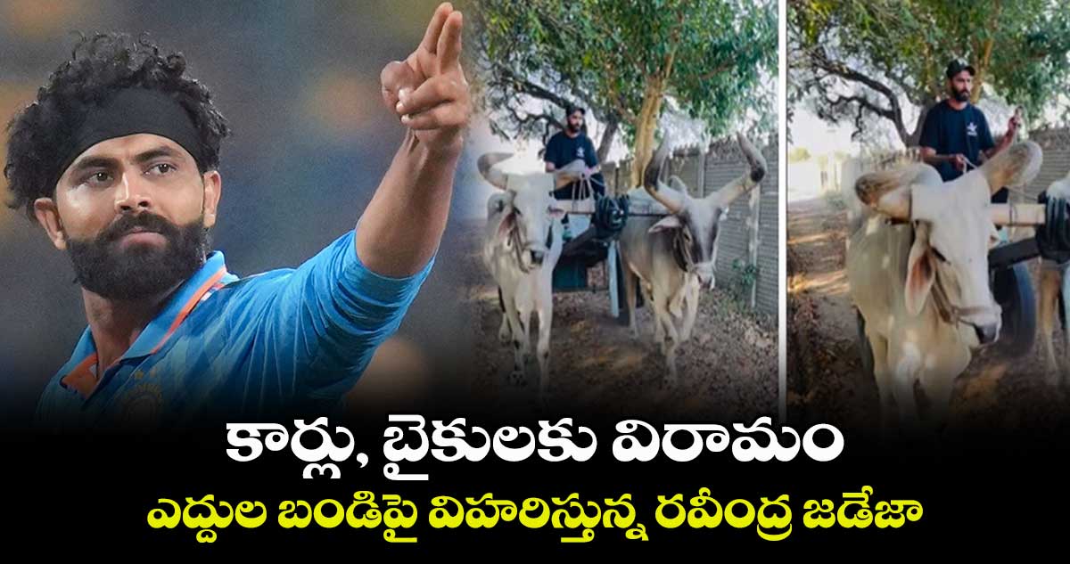 కార్లు, బైకులకు విరామం.. ఎద్దుల బండిపై విహరిస్తున్న రవీంద్ర జడేజా