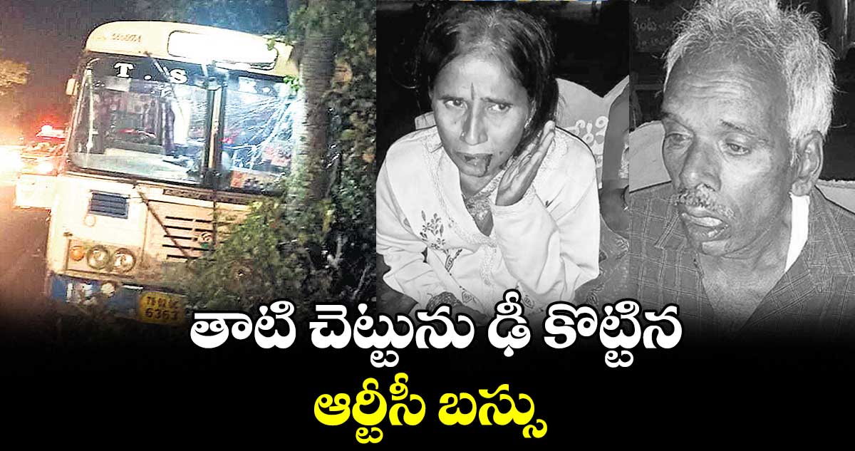 తాటి చెట్టును ఢీ కొట్టిన ఆర్టీసీ బస్సు