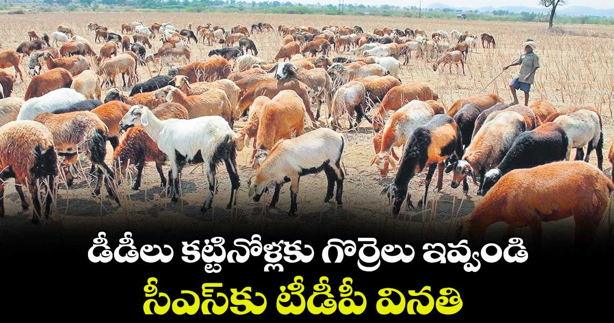 డీడీలు కట్టినోళ్లకు గొర్రెలు ఇవ్వండి ..  సీఎస్‌‌‌‌కు టీడీపీ వినతి