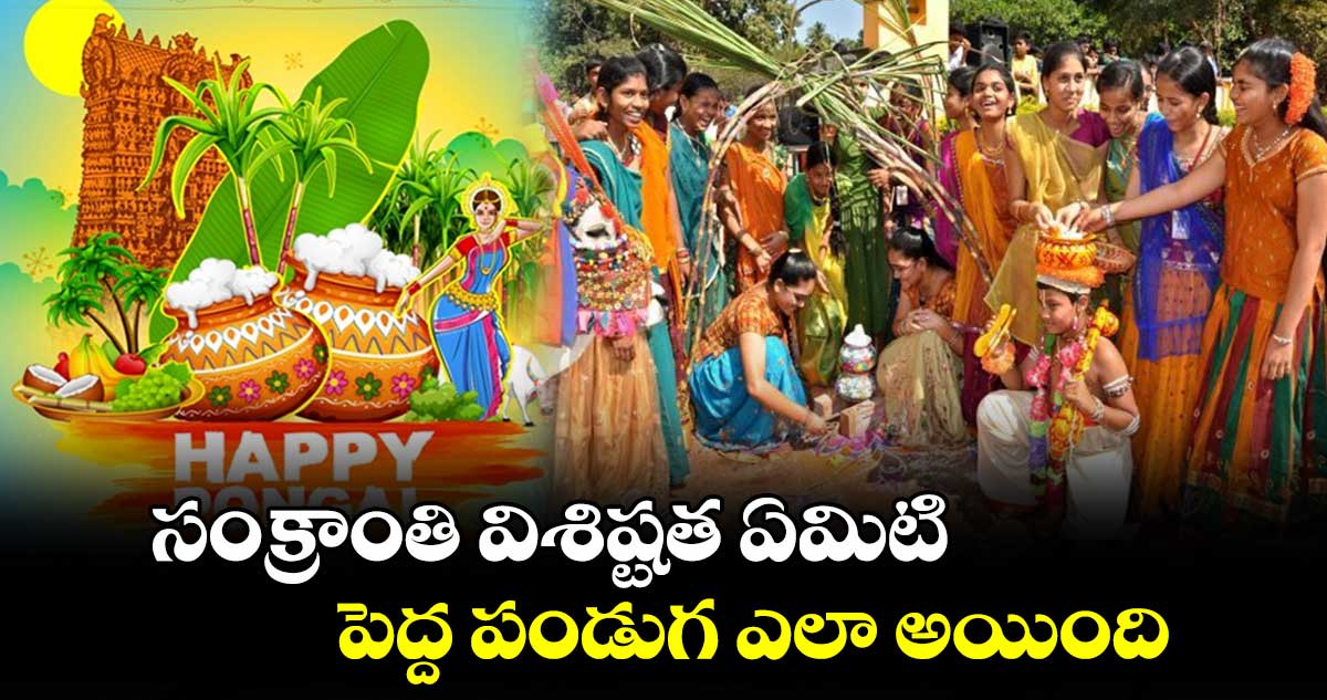 సంక్రాంతి విశిష్టత ఏమిటి... పెద్ద పండుగ ఎలా అయింది