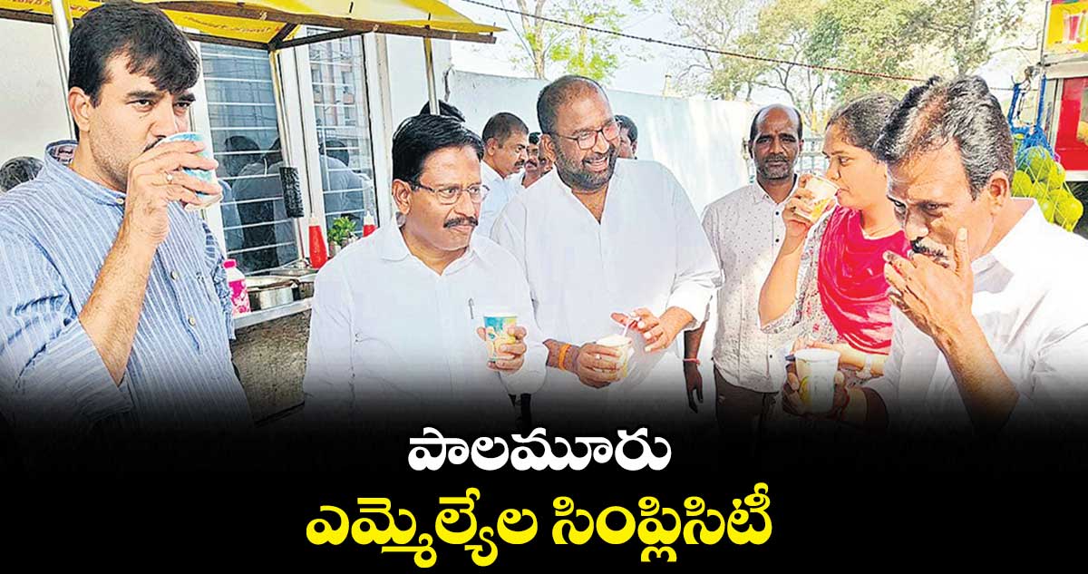 పాలమూరు ఎమ్మెల్యేల సింప్లిసిటీ