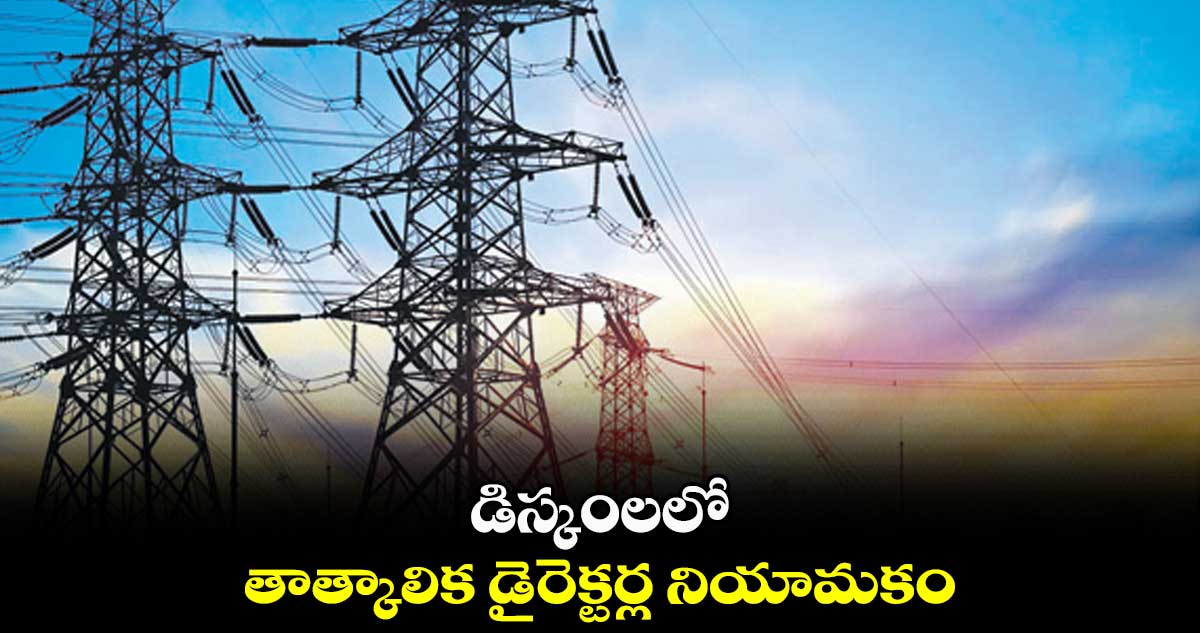 డిస్కంలలో తాత్కాలిక డైరెక్టర్ల నియామకం