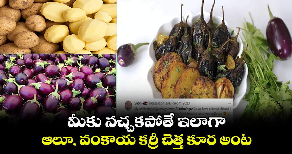 మీకు నచ్చకపోతే ఇలాగా : ఆలూ, వంకాయ కర్రీ చెత్త కూర అంట