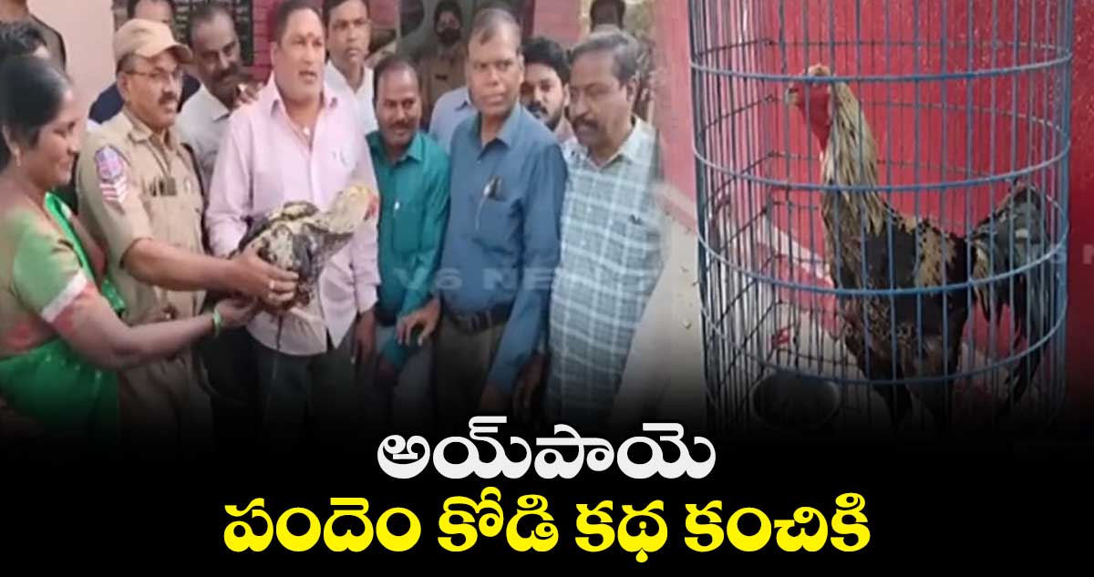 అయ్⁬పాయె.. పందెం కోడి కథ కంచికి