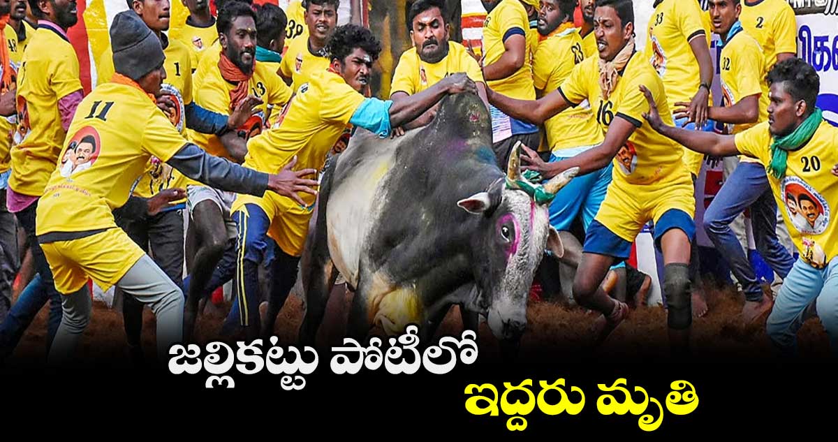 జల్లికట్టు పోటీలో ఇద్దరు మృతి