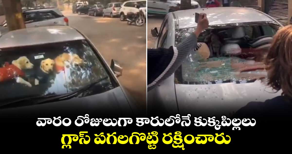 వారం రోజులుగా కారులోనే కుక్కపిల్లలు.. గ్లాస్ పగలగొట్టి రక్షించారు