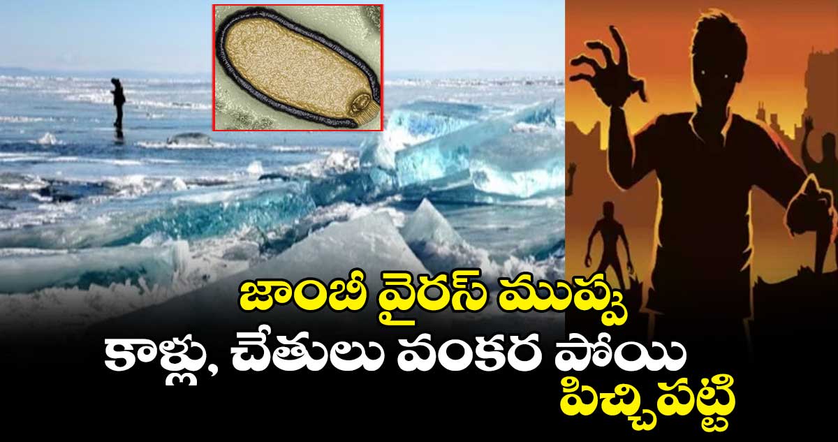 జాంబీ వైరస్ ముప్పు.. కాళ్లు, చేతులు వంకర పోయి.. పిచ్చిపట్టి..