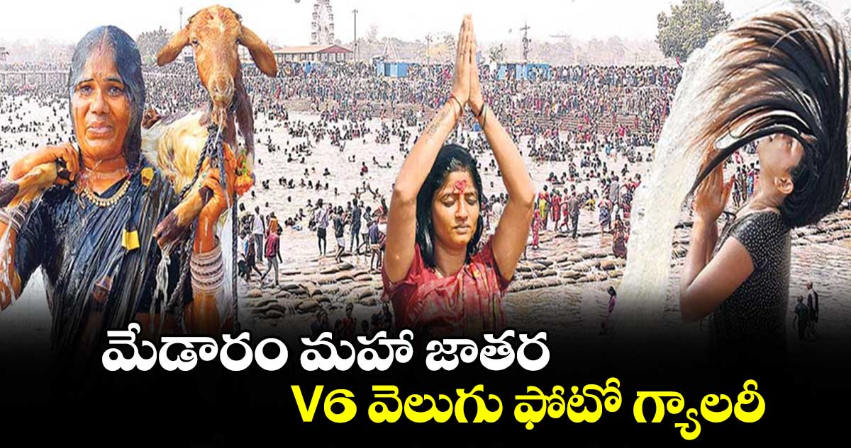 మేడారం మహా జాతర.. V6 వెలుగు ఫోటో గ్యాలరీ