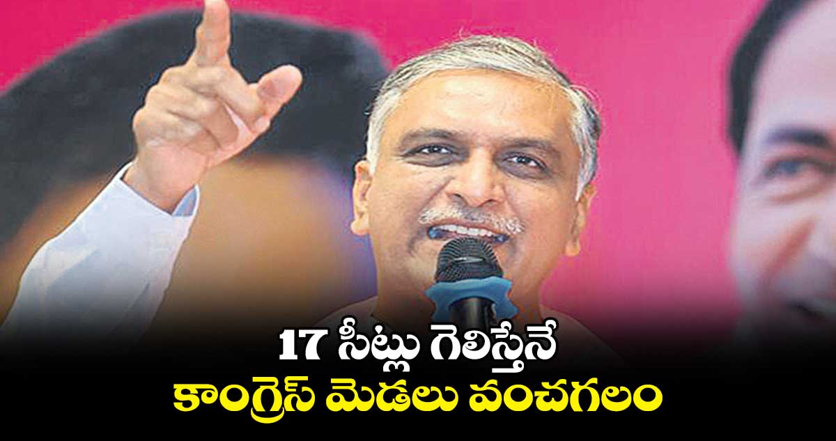 17 సీట్లు గెలిస్తేనే కాంగ్రెస్ మెడలు వంచగలం: ఎమ్మెల్యే హరీశ్ రావు