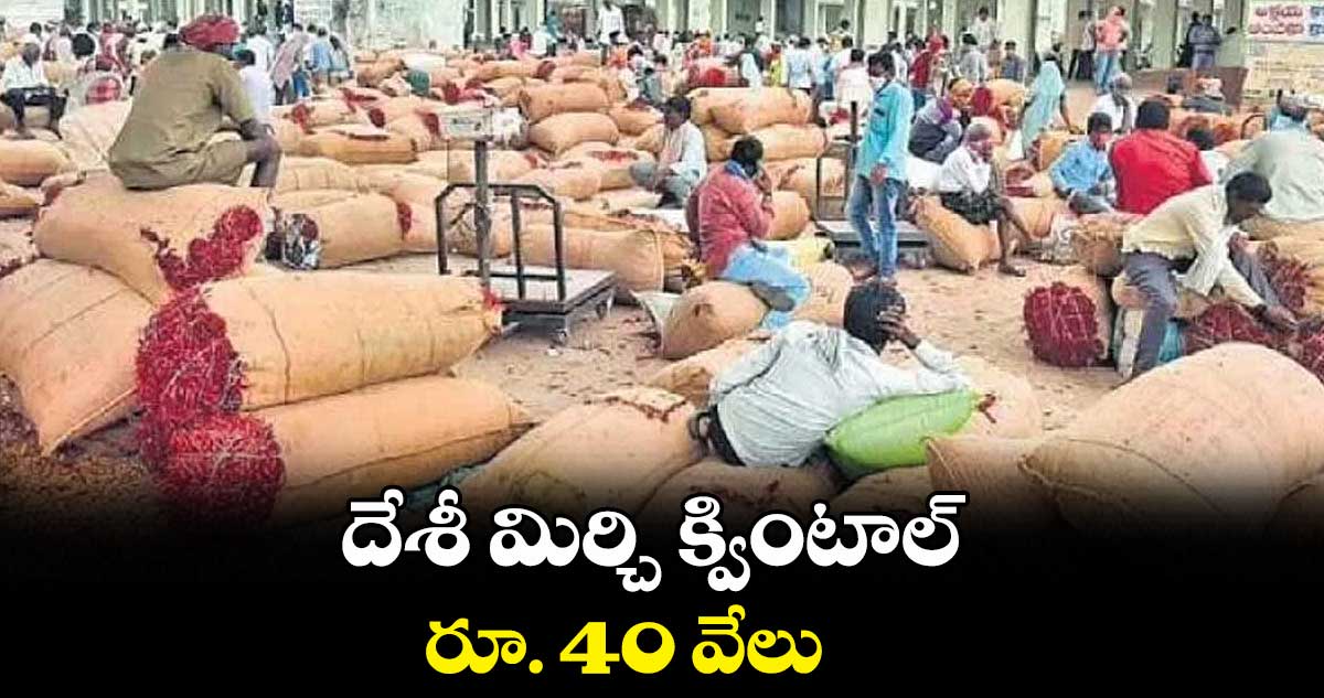 దేశీ మిర్చి క్వింటాల్ రూ. 40 వేలు