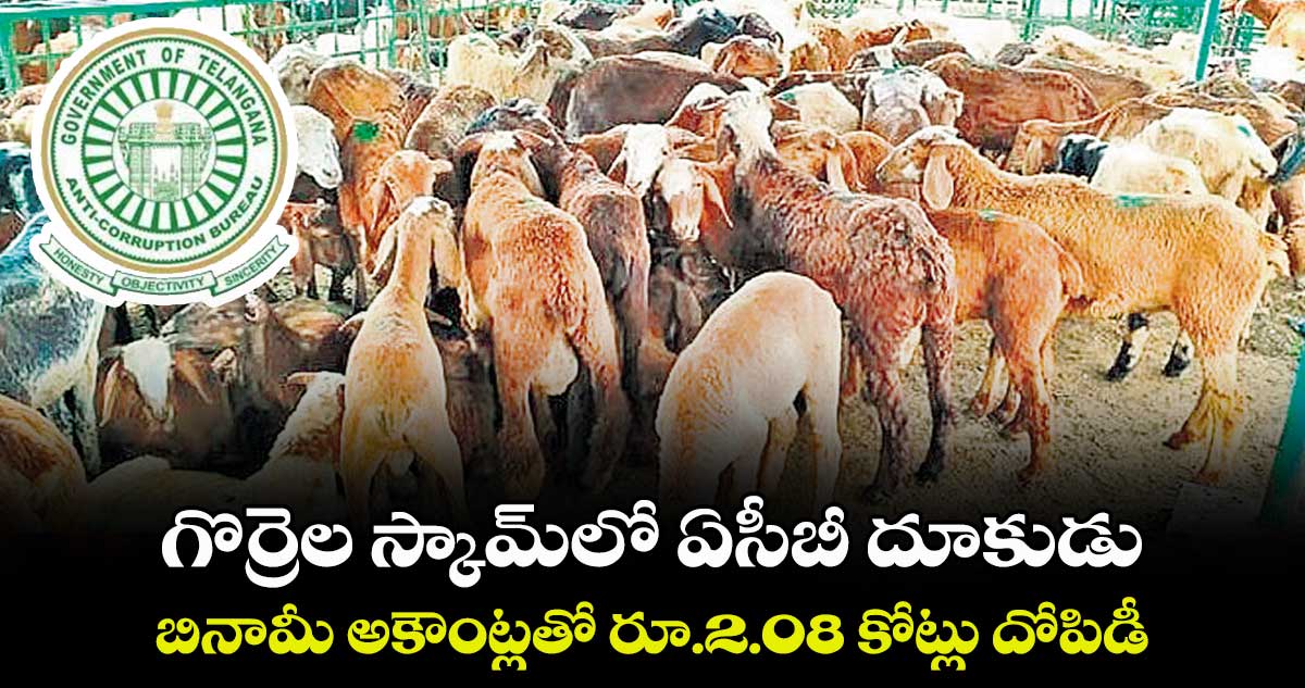 గొర్రెల స్కామ్లో ఏసీబీ దూకుడు .. బినామీ అకౌంట్లతో రూ.2.08 కోట్లు దోపిడీ