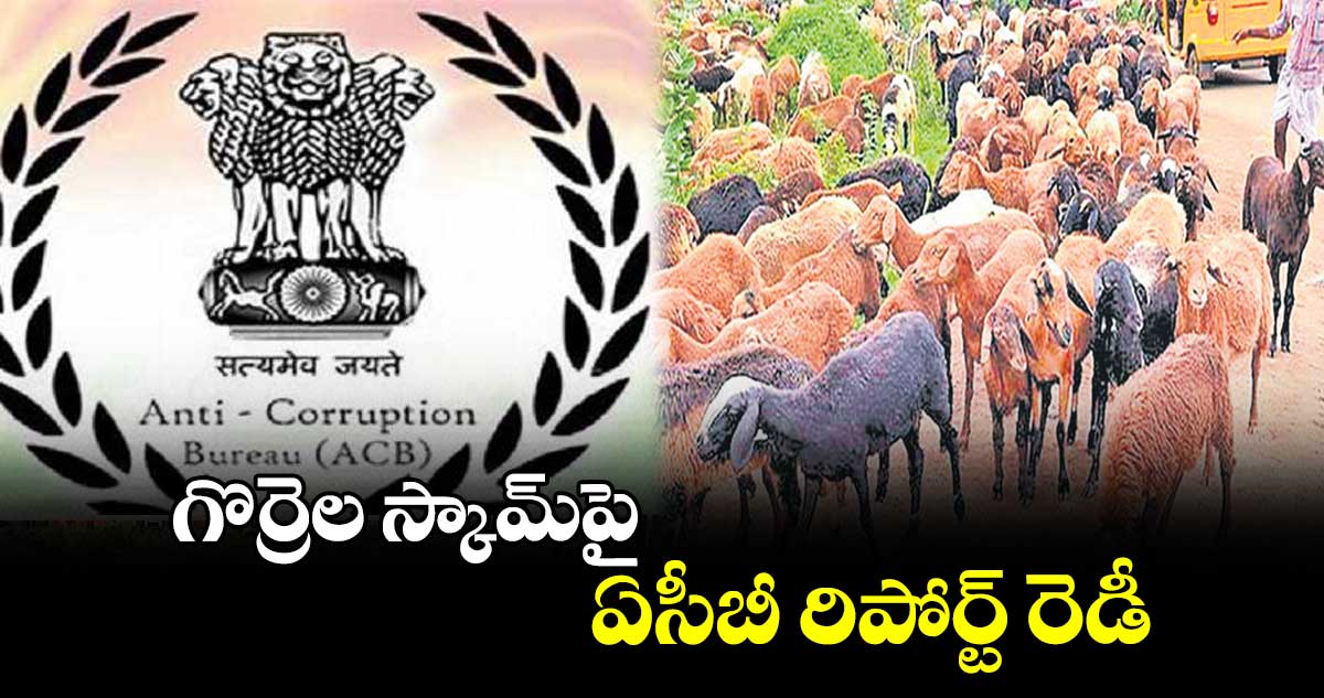 గొర్రెల స్కామ్‌‌‌‌‌‌‌‌పై ఏసీబీ రిపోర్ట్ రెడీ