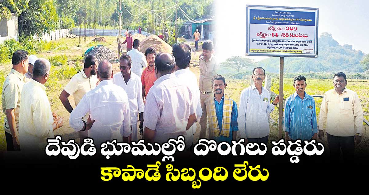 దేవుడి భూముల్లో దొంగలు పడ్డరు కాపాడే సిబ్బంది లేరు