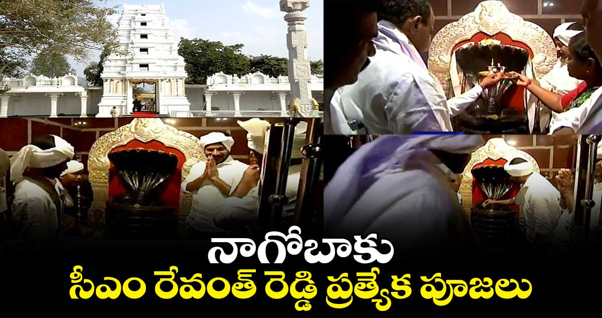 నాగోబాకు సీఎం రేవంత్ రెడ్డి ప్రత్యేక పూజలు