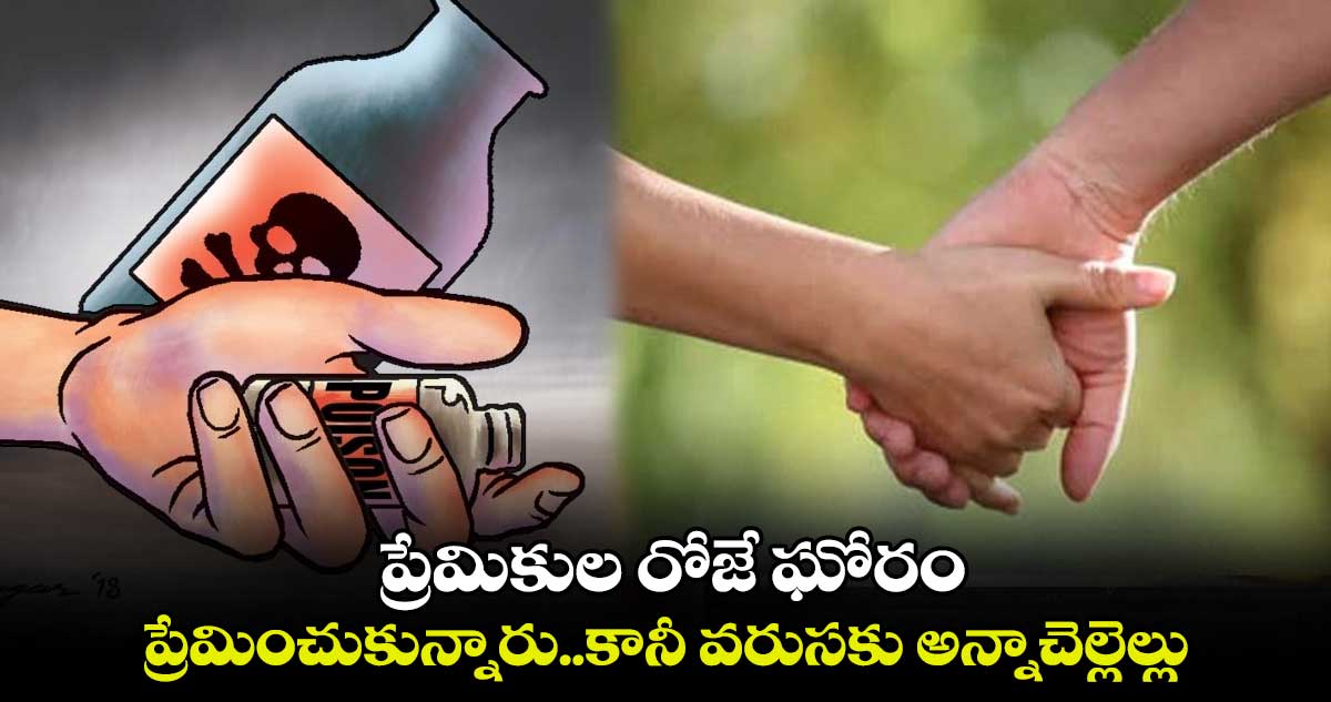 ప్రేమించుకున్నారు.. కానీ వరుసకు అన్నాచెల్లెల్లు  ప్రేమికుల రోజే ఘోరం