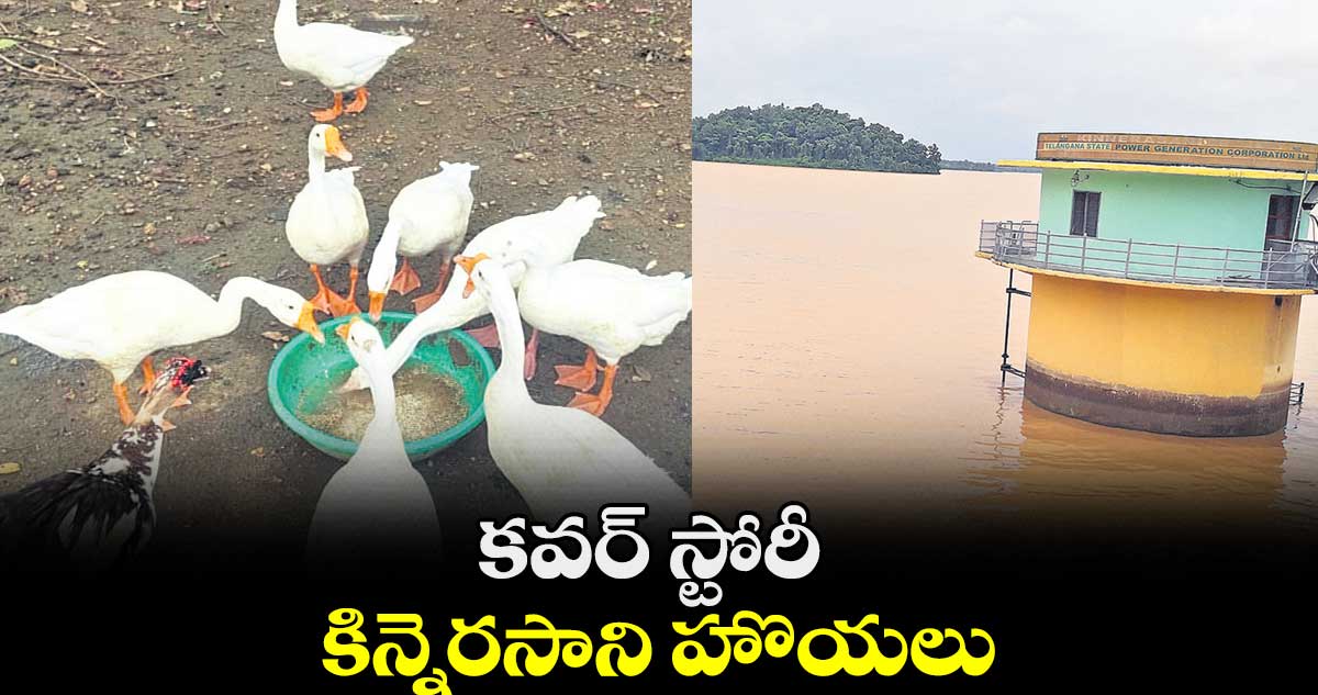 కవర్ స్టోరీ : కిన్నెరసాని హొయలు