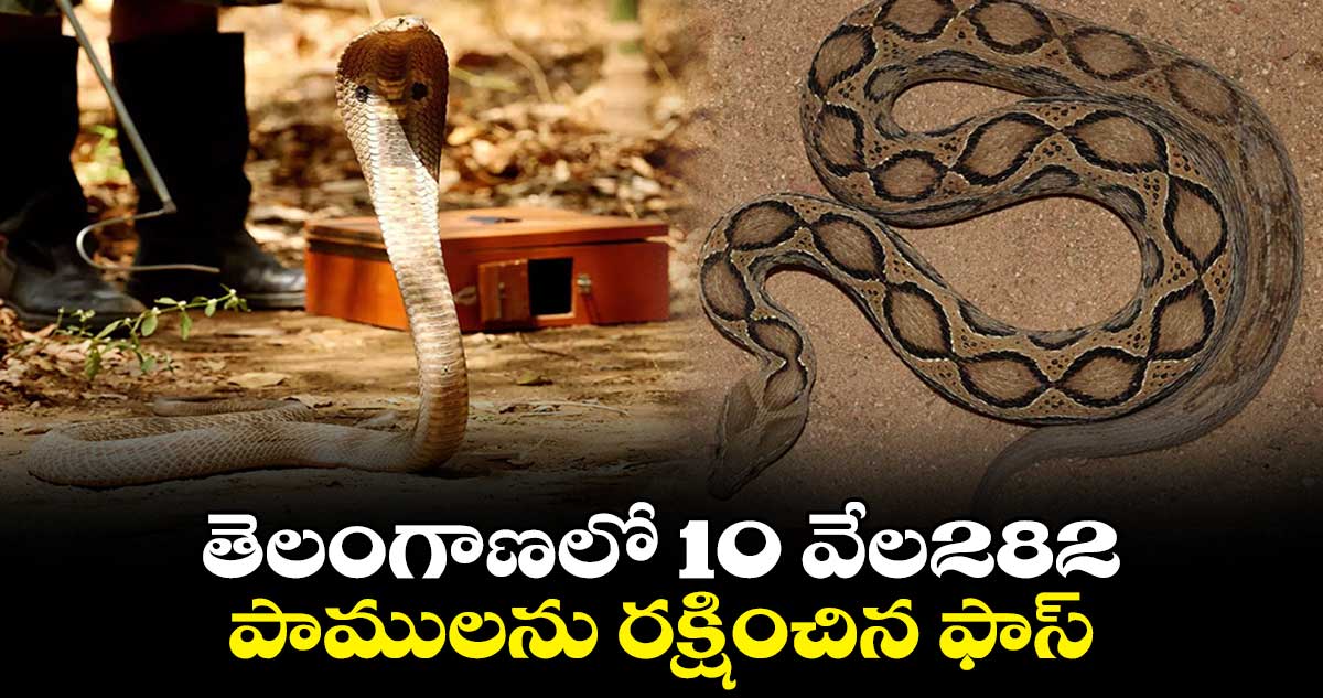 తెలంగాణలో 10 వేల282 పాములను రక్షించిన ఫాస్