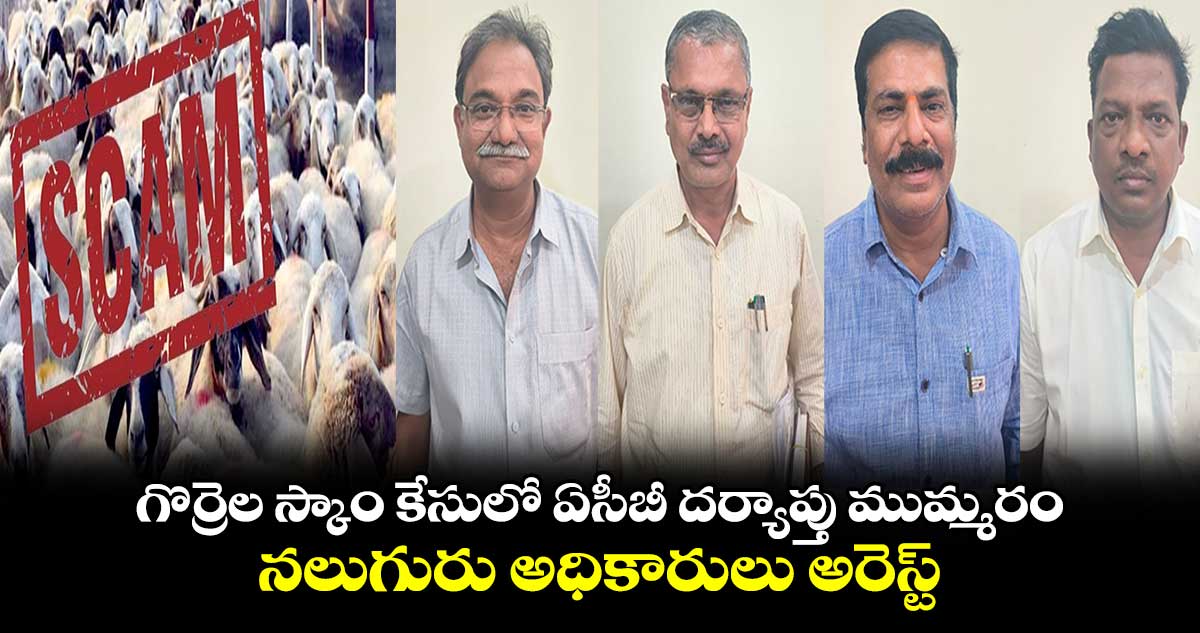 గొర్రెల స్కాం కేసు .. నలుగురు అధికారులు అరెస్ట్