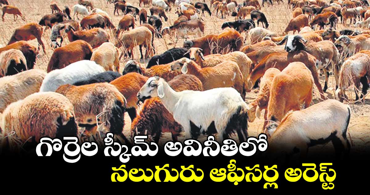 గొర్రెల స్కీమ్ అవినీతిలో.. నలుగురు ఆఫీసర్ల అరెస్ట్