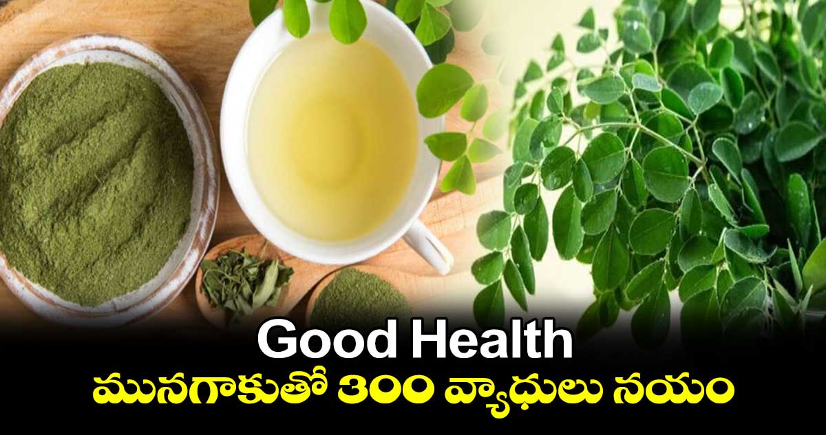 Good Health: మునగాకుతో 300 వ్యాధులు నయం