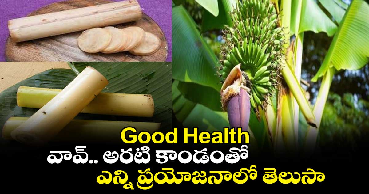 Good Health: వావ్...  అరటి కాండంతో ఎన్ని ప్రయోజనాలో తెలుసా...