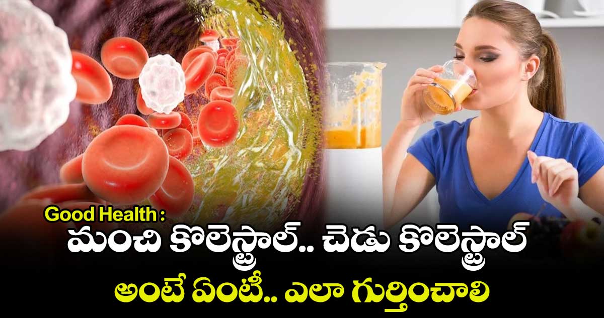 Good Health : మంచి కొలెస్ట్రాల్.. చెడు కొలెస్ట్రాల్ అంటే ఏంటీ.. ఎలా గుర్తించాలి