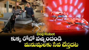 Dog Robot: కుక్క రోబో వచ్చిందండి..మనుషులకు సేవ చేస్తదట