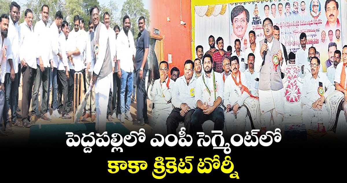 పెద్దపల్లిలో ఎంపీ సెగ్మెంట్​లో కాకా క్రికెట్ టోర్నీ