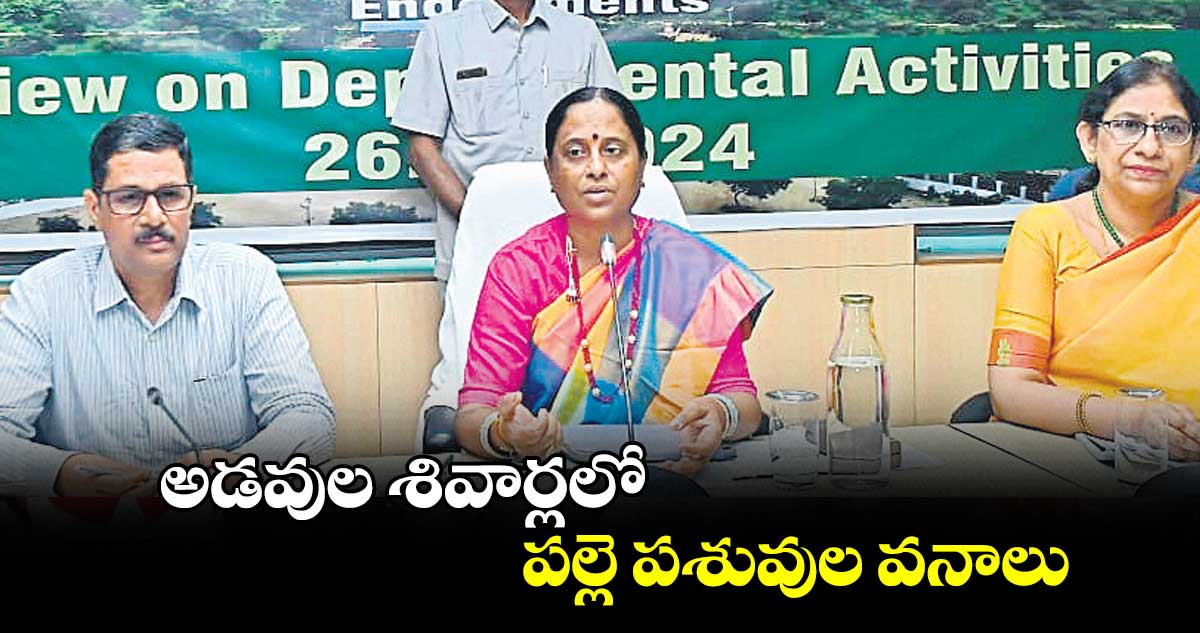 అడవుల శివార్లలో పల్లె పశువుల వనాలు: కొండా సురేఖ