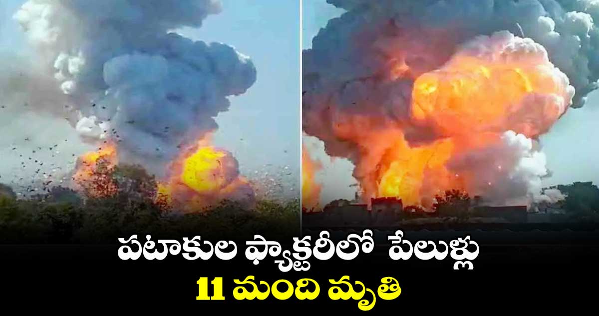 పటాకుల ఫ్యాక్టరీలో  పేలుళ్లు.. 11 మంది మృతి