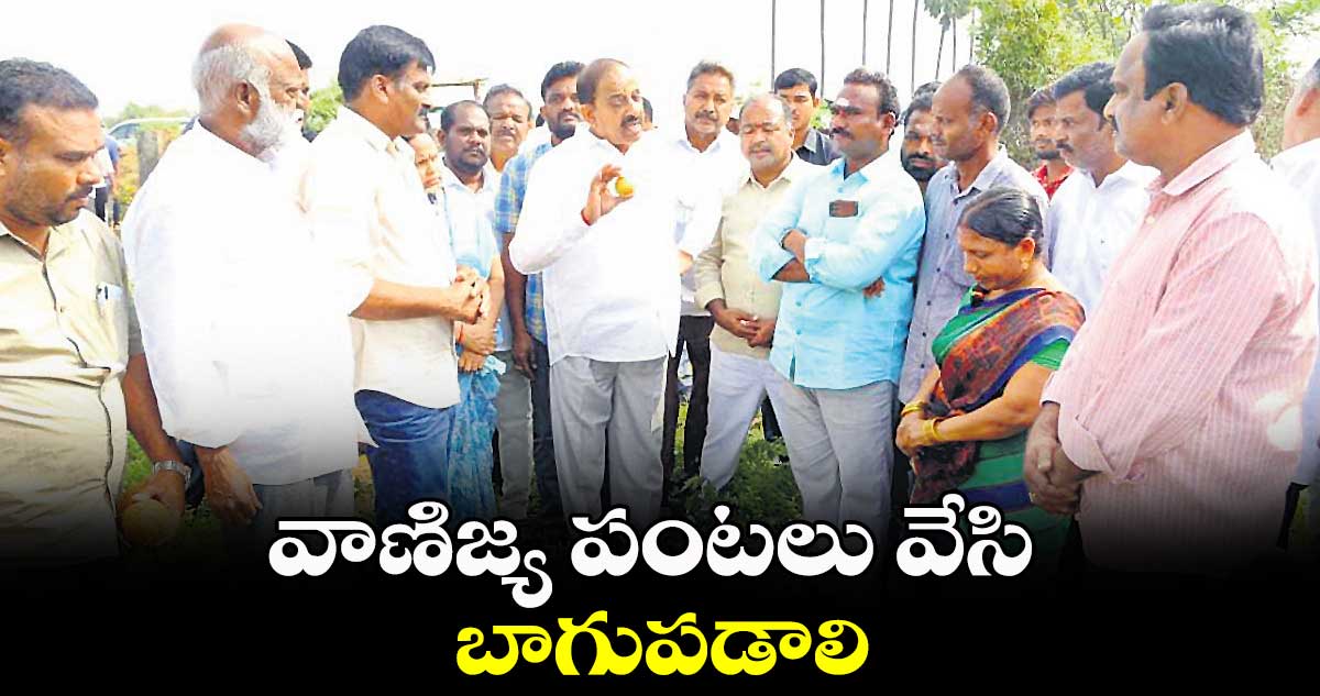 వాణిజ్య పంటలు వేసి బాగుపడాలి : తుమ్మల నాగేశ్వరరావు