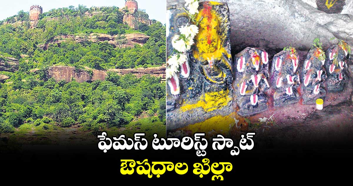 ఫేమస్‌ టూరిస్ట్‌ స్పాట్‌ : ఔషధాల ఖిల్లా 