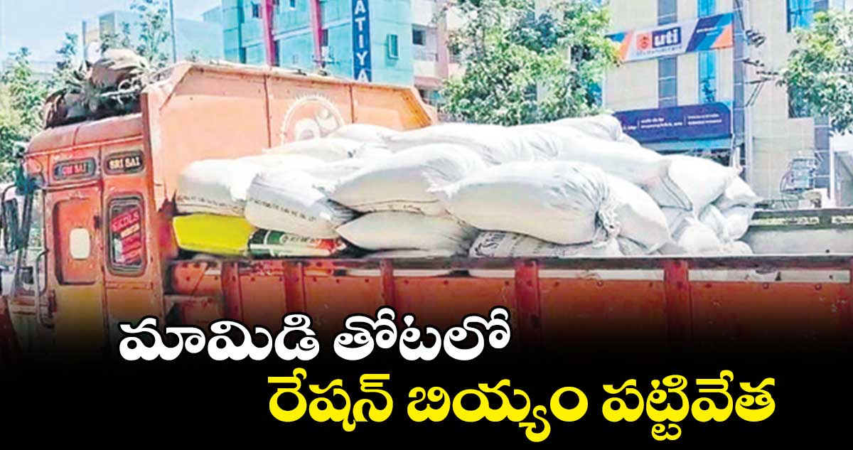  మామిడి తోటలో రేషన్​ బియ్యం పట్టివేత 