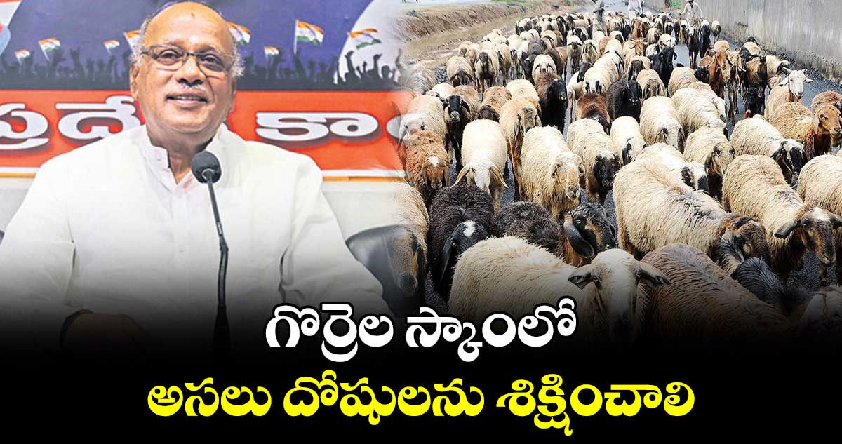 గొర్రెల స్కాంలో అసలు దోషులను శిక్షించాలి: నిరంజన్