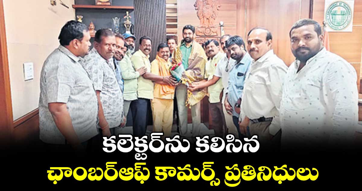 కలెక్టర్​ను కలిసిన ఛాంబర్​ఆఫ్​ కామర్స్​ ప్రతినిధులు