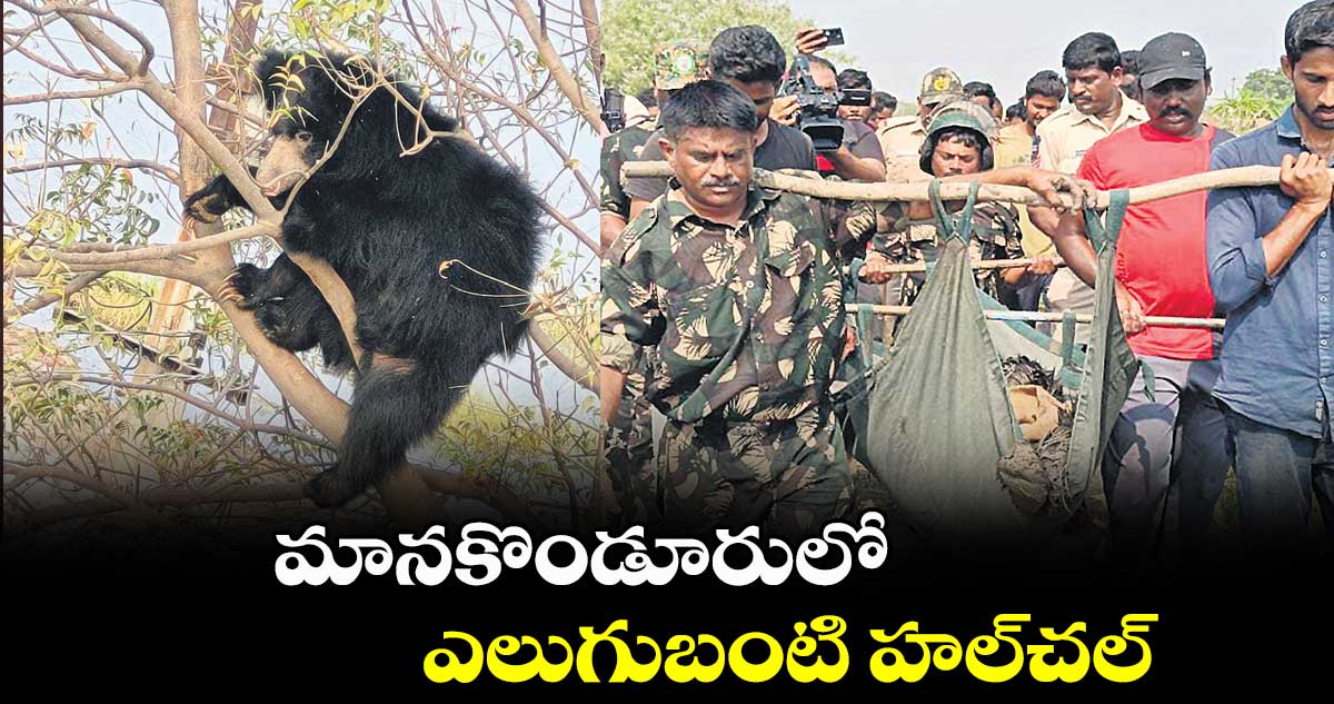 మానకొండూరులో ఎలుగుబంటి హల్​చల్​ 