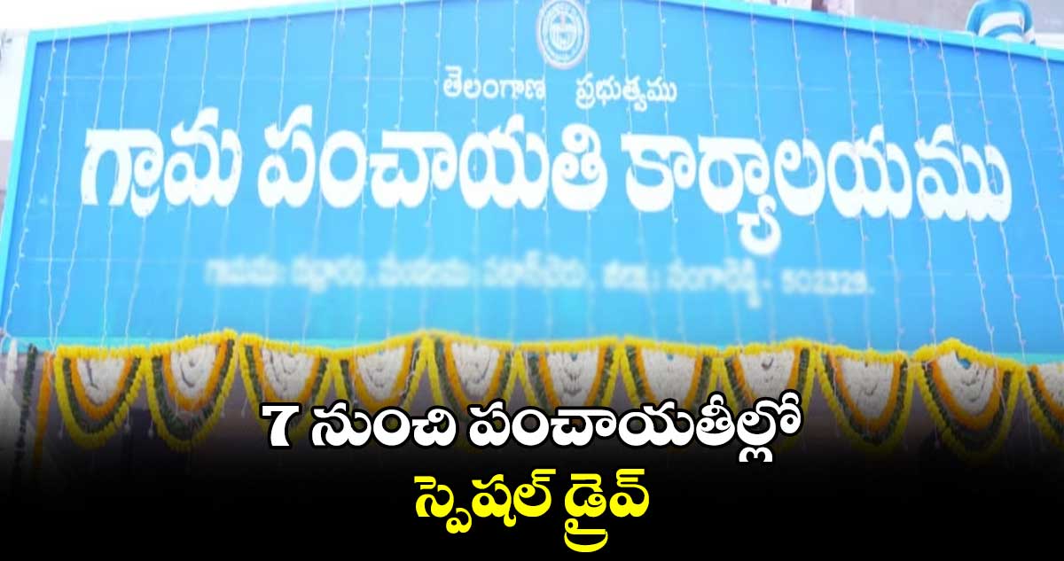 7 నుంచి పంచాయతీల్లో స్పెషల్ డ్రైవ్