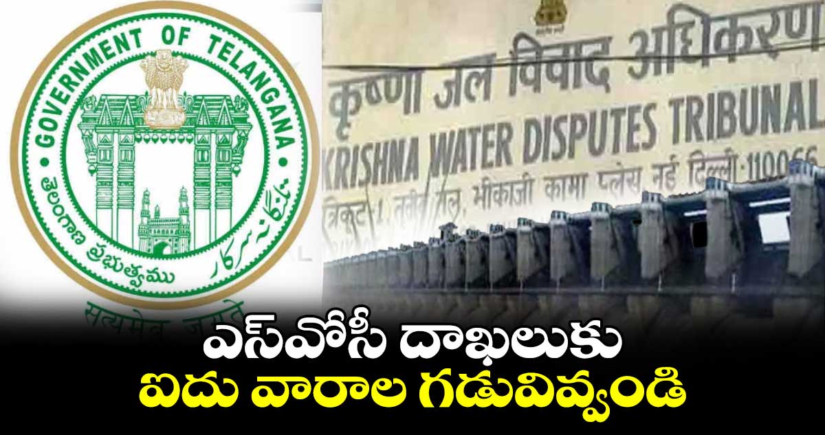 ఎస్వోసీ దాఖలుకు ఐదు వారాల గడువివ్వండి
