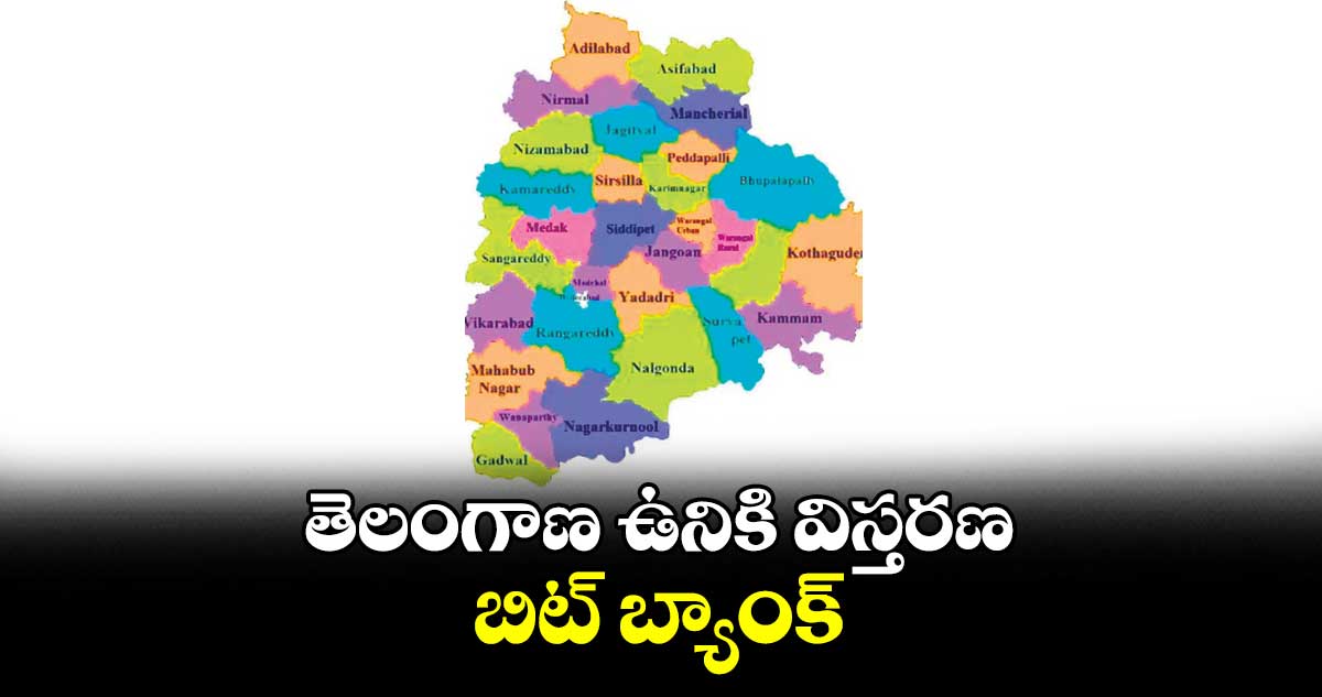 తెలంగాణ ఉనికి విస్తరణ.. బిట్​ బ్యాంక్​