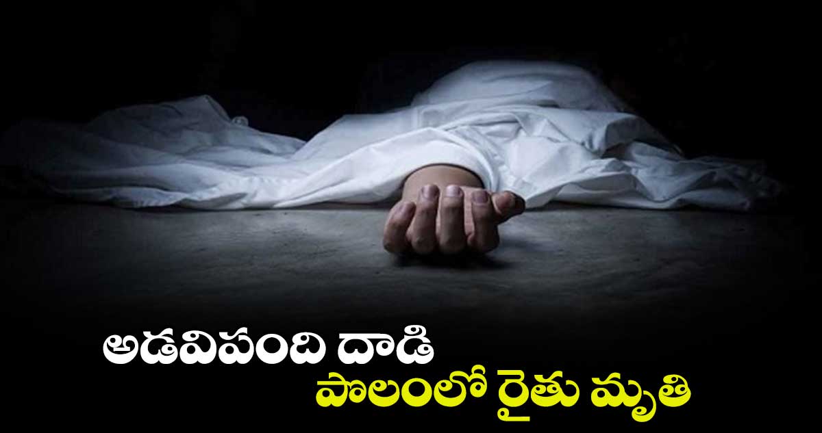 అడవిపంది దాడి .. పొలంలో రైతు మృతి