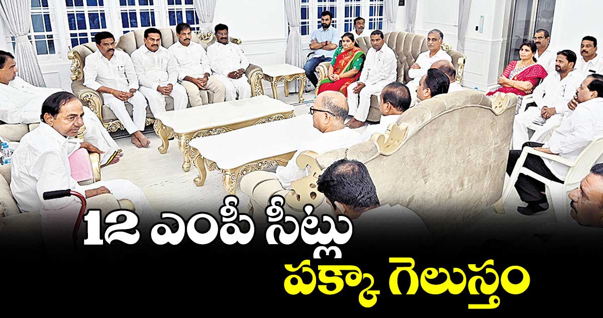 12 ఎంపీ సీట్లు పక్కా గెలుస్తం