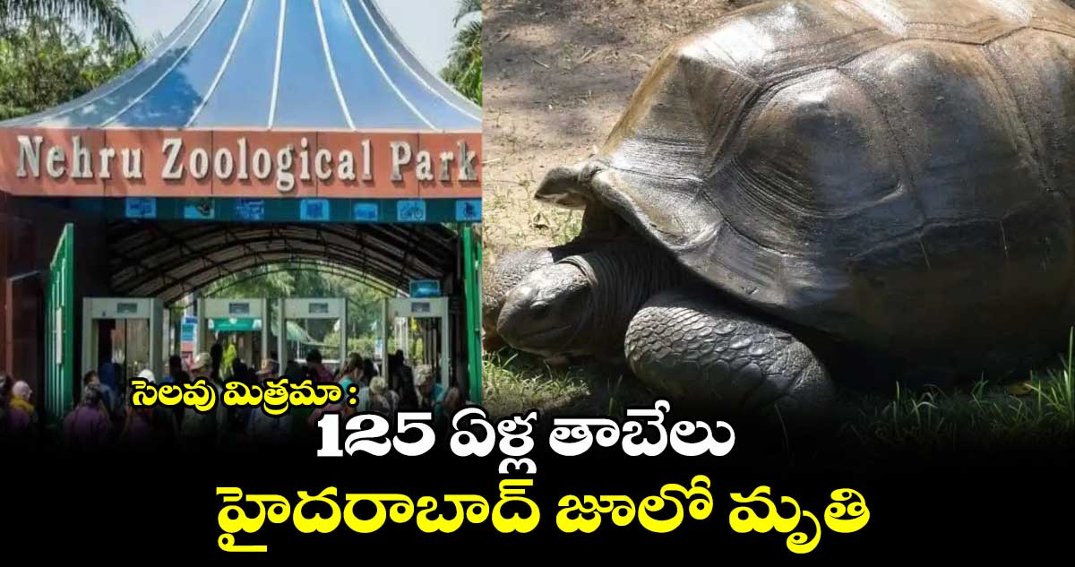 సెలవు మిత్రమా : 125 ఏళ్ల తాబేలు హైదరాబాద్ జూలో మృతి