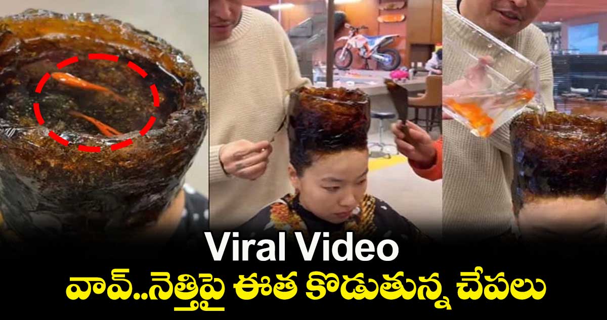 Viral Video: వావ్... నెత్తిపై ఈత కొడుతున్న చేపలు