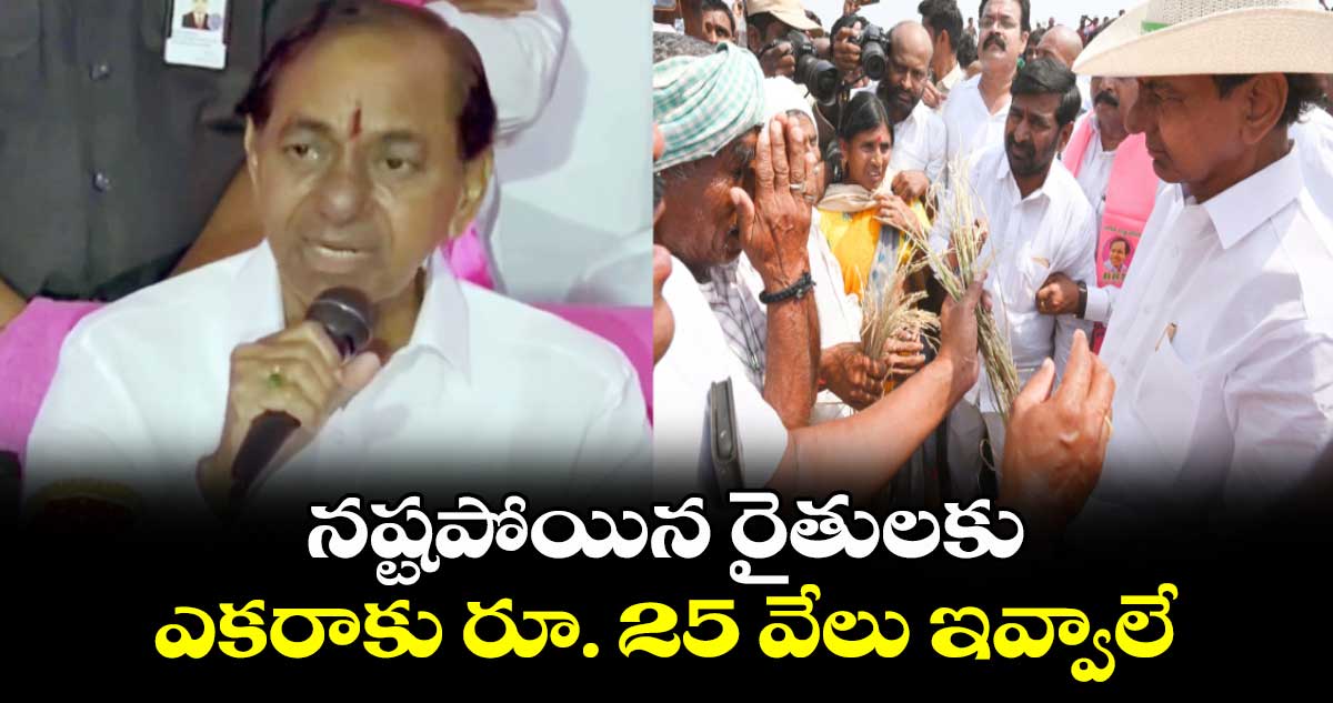 నష్టపోయిన రైతులకు ఎకరాకు రూ. 25 వేలు ఇవ్వాలే  :  కేసీఆర్ 